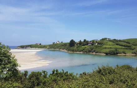 Gastronomía de Cantabria en septiembre: 7 sabores esenciales entre vendimia y quesos de montaña